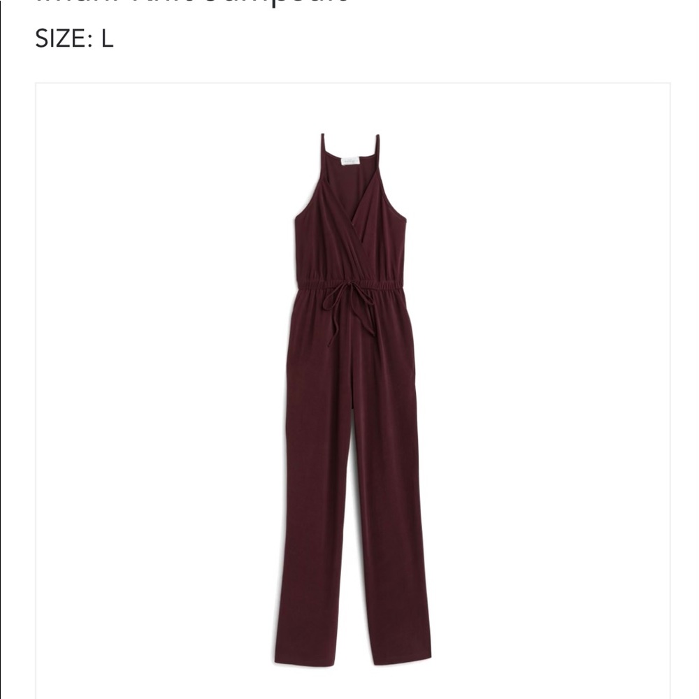 Kaileigh wine colored jumpsuit size Large. Has pockets. Never worn